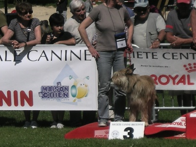 Du clos d'aria - expo Dinard