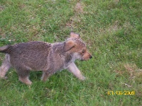 EMMA dite DUFFY