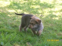 EDOUARD